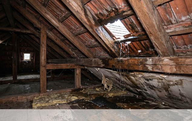entreprise-d-intervention-d-urgence-fuite-toiture-castera-verduzan-32410-4