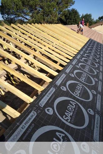 traitement-et-changement-charpente-loubedat21